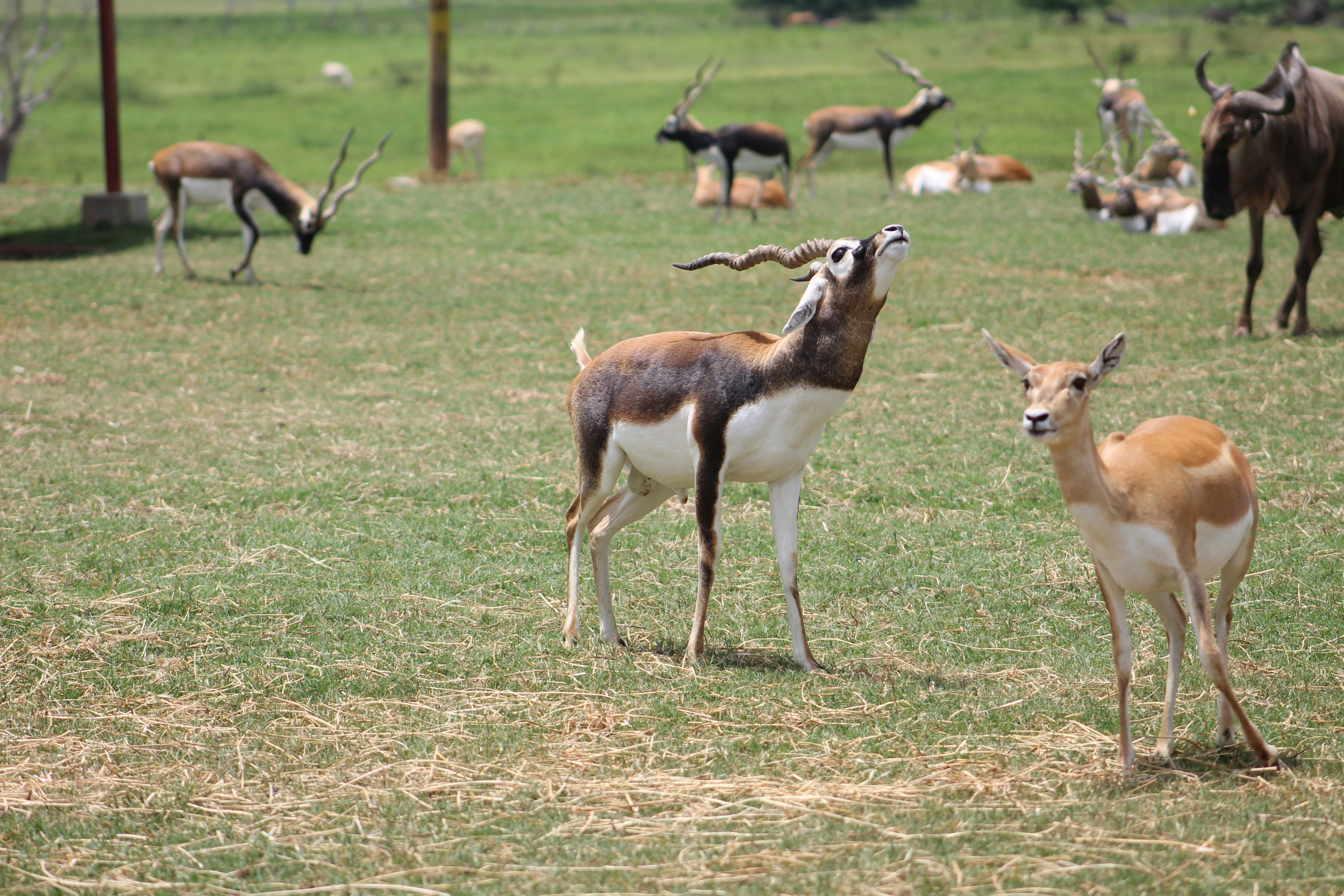 Photo by sandragabriel