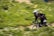man in black jacket riding bicycle on green grass field during daytime