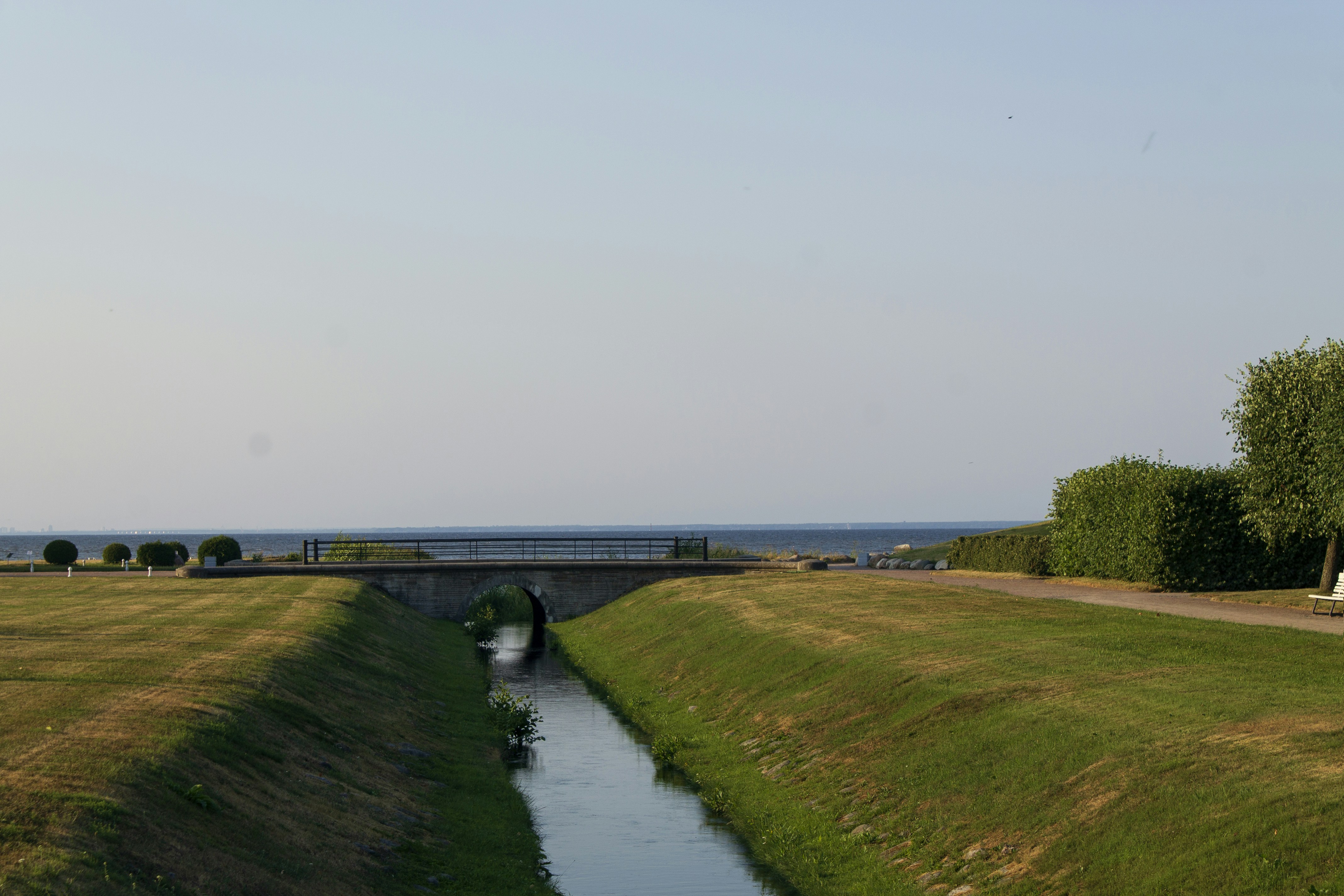 green grass field near body of water during daytime