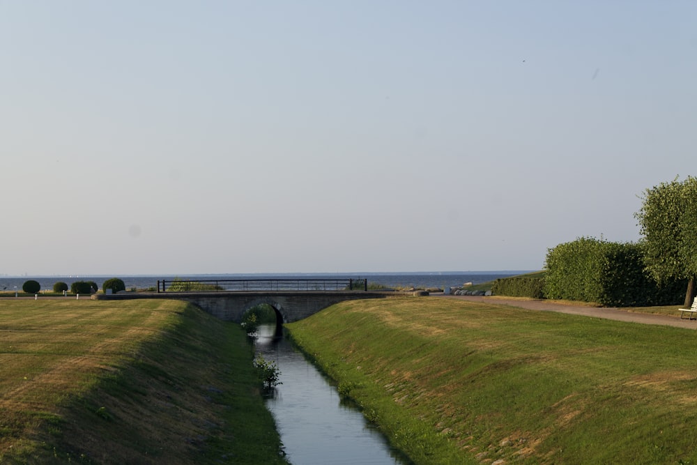 green grass field near body of water during daytime