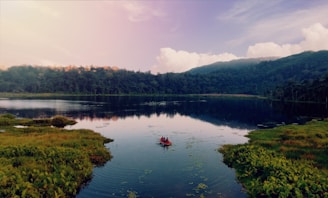 body of water near green trees during daytime