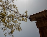 A metal gutter attached to a building with chains extends outward, with a tree branch in soft focus in the background against a blue sky. The sun casts a bright light, creating a serene and rustic atmosphere.