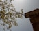 A metal gutter attached to a building with chains extends outward, with a tree branch in soft focus in the background against a blue sky. The sun casts a bright light, creating a serene and rustic atmosphere.
