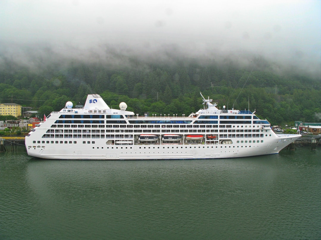 white cruise ship on sea during daytime