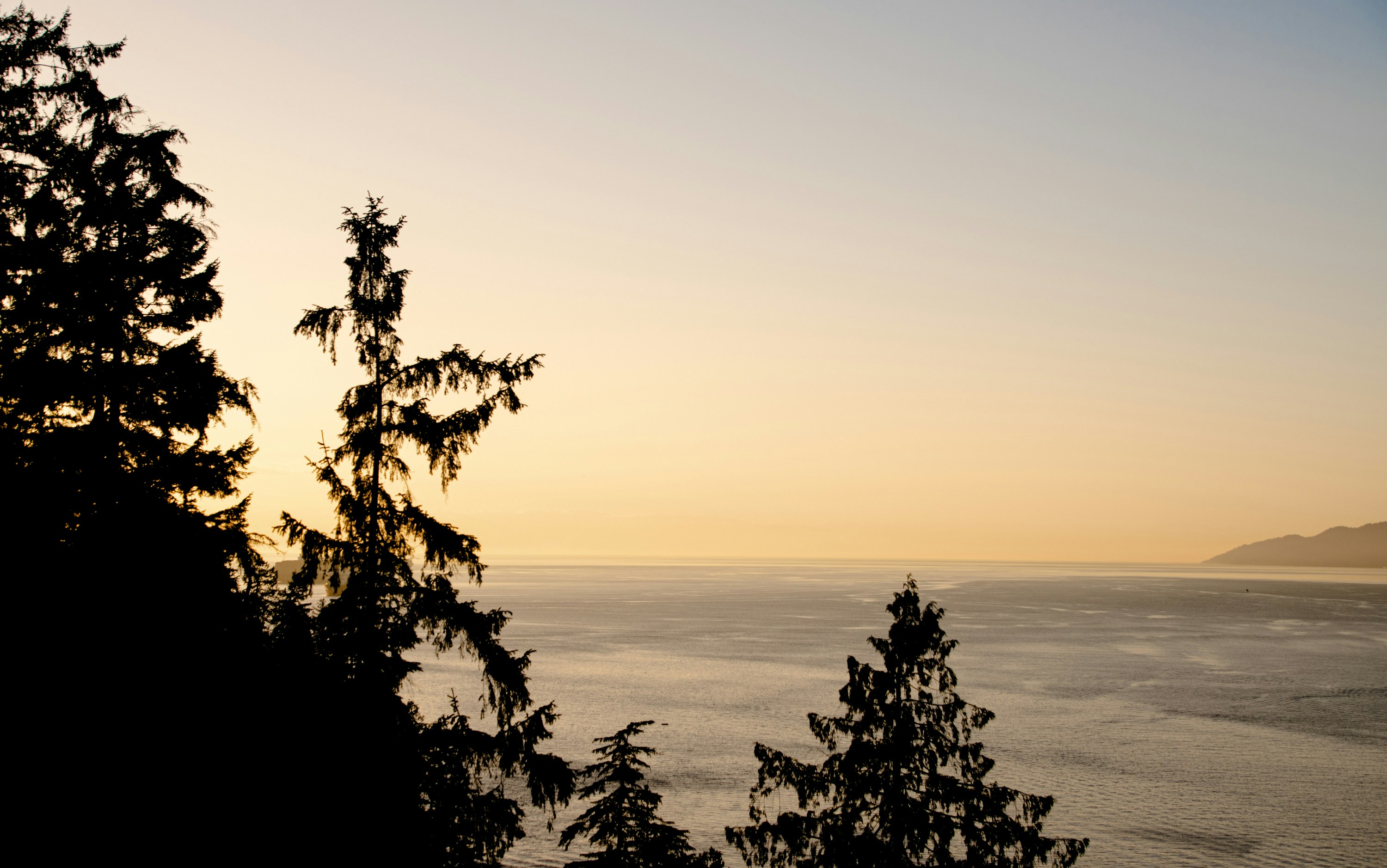 Photo by andrewgazula