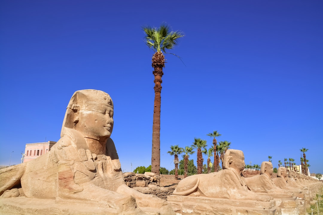 brown stone statue near green palm tree under blue sky during daytime