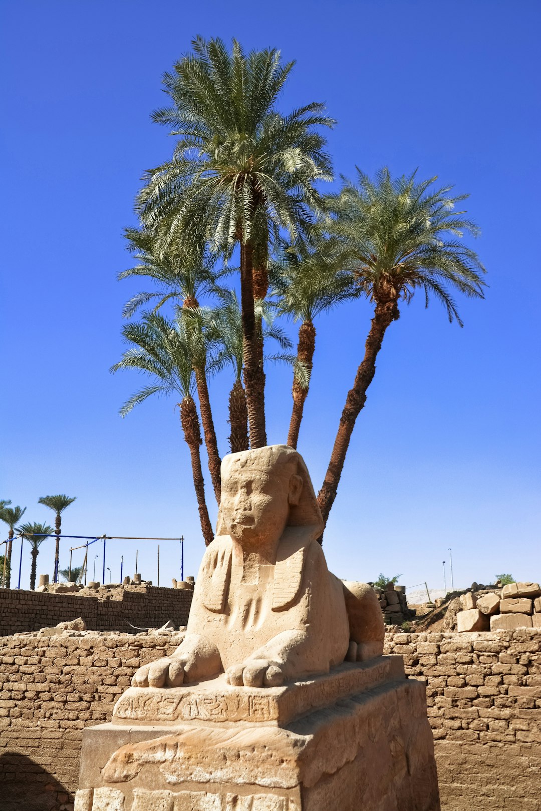 brown statue near green palm tree during daytime