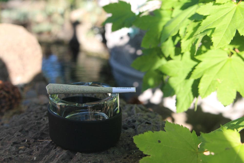 Planta verde al lado de un frasco de vidrio transparente