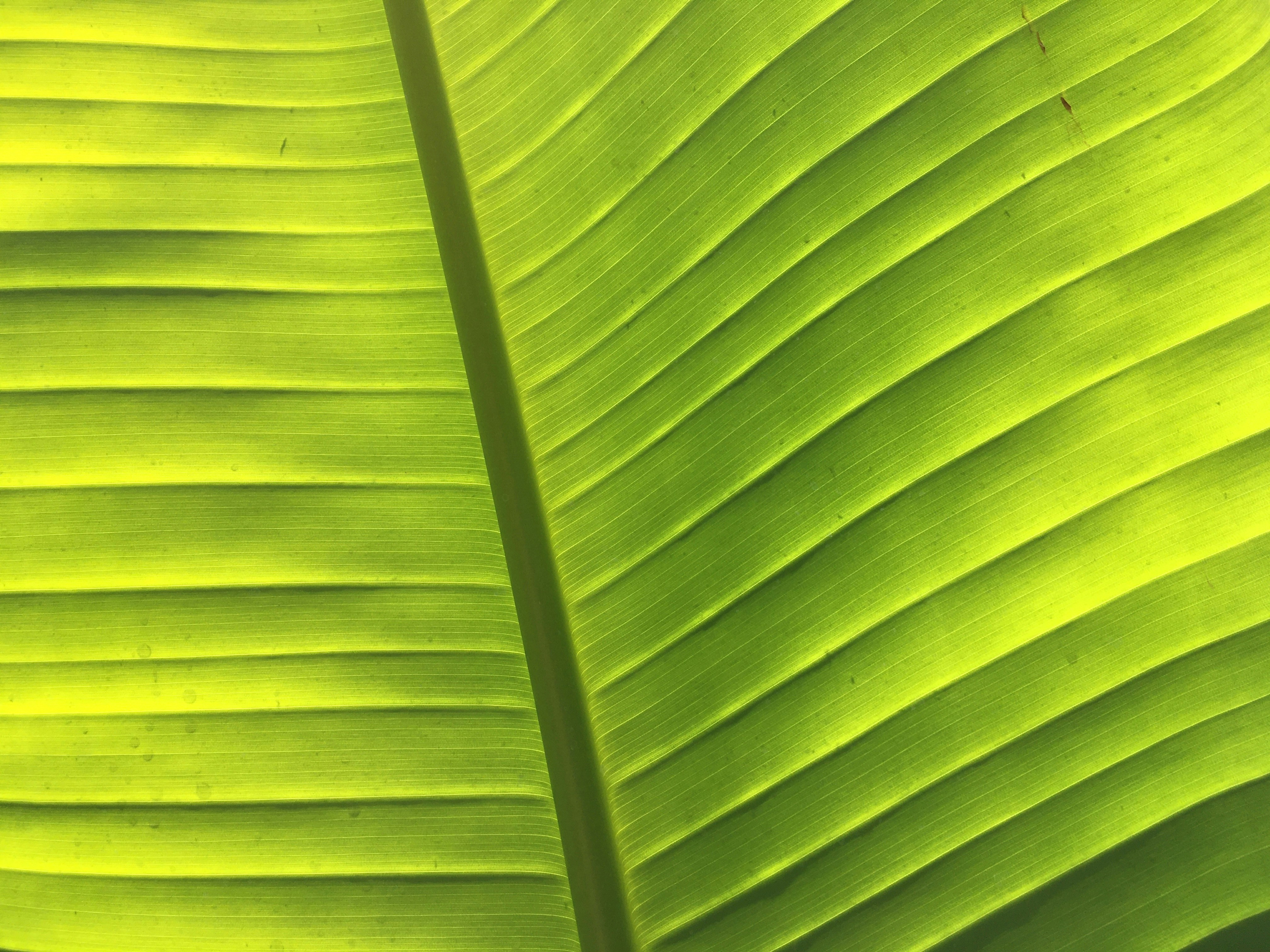 Photo by rocklilybeast