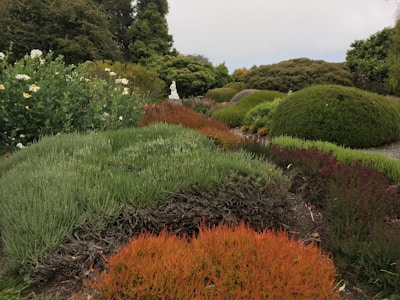 A lush garden landscape with various shrubs and plants, including large, rounded bushes and colorful ground cover plants. White flowers can be seen on the left, adding contrast to the greenery. In the background, a small statue is partially visible, surrounded by dense foliage.