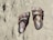 A pair of brown, open-toed sandals with straps and buckles are lying on a sandy surface. The sand appears to be beach sand, and the sandals seem to be well-worn.