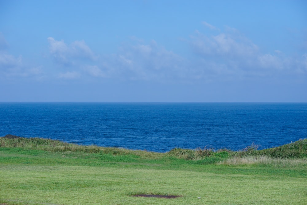 green grass field near body of water during daytime