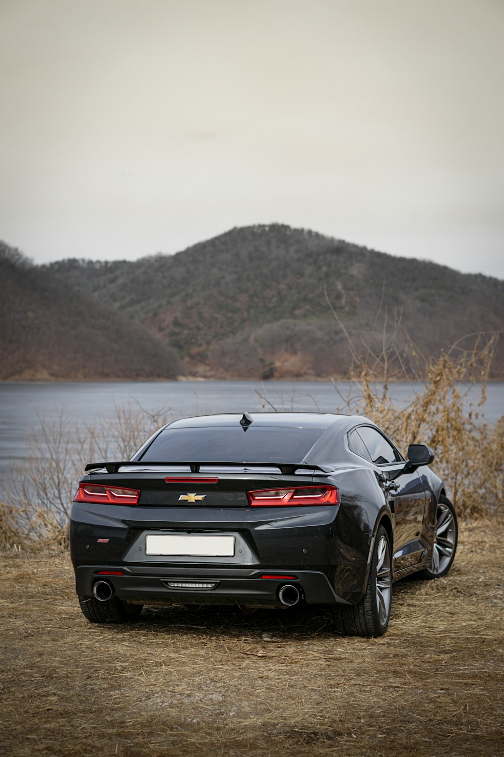 black chevrolet camaro on a sunny day