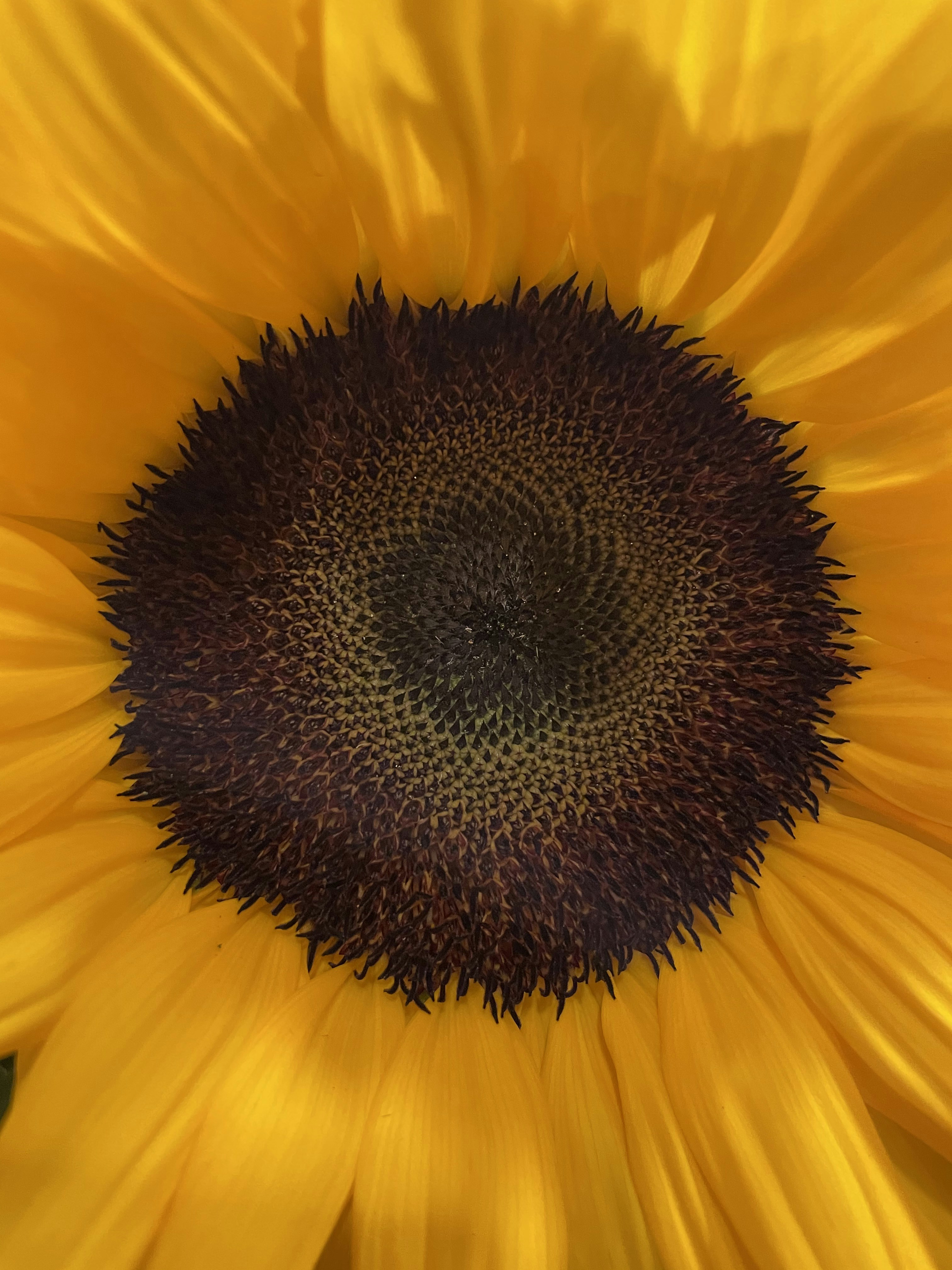 Photo by marcie_kennedy