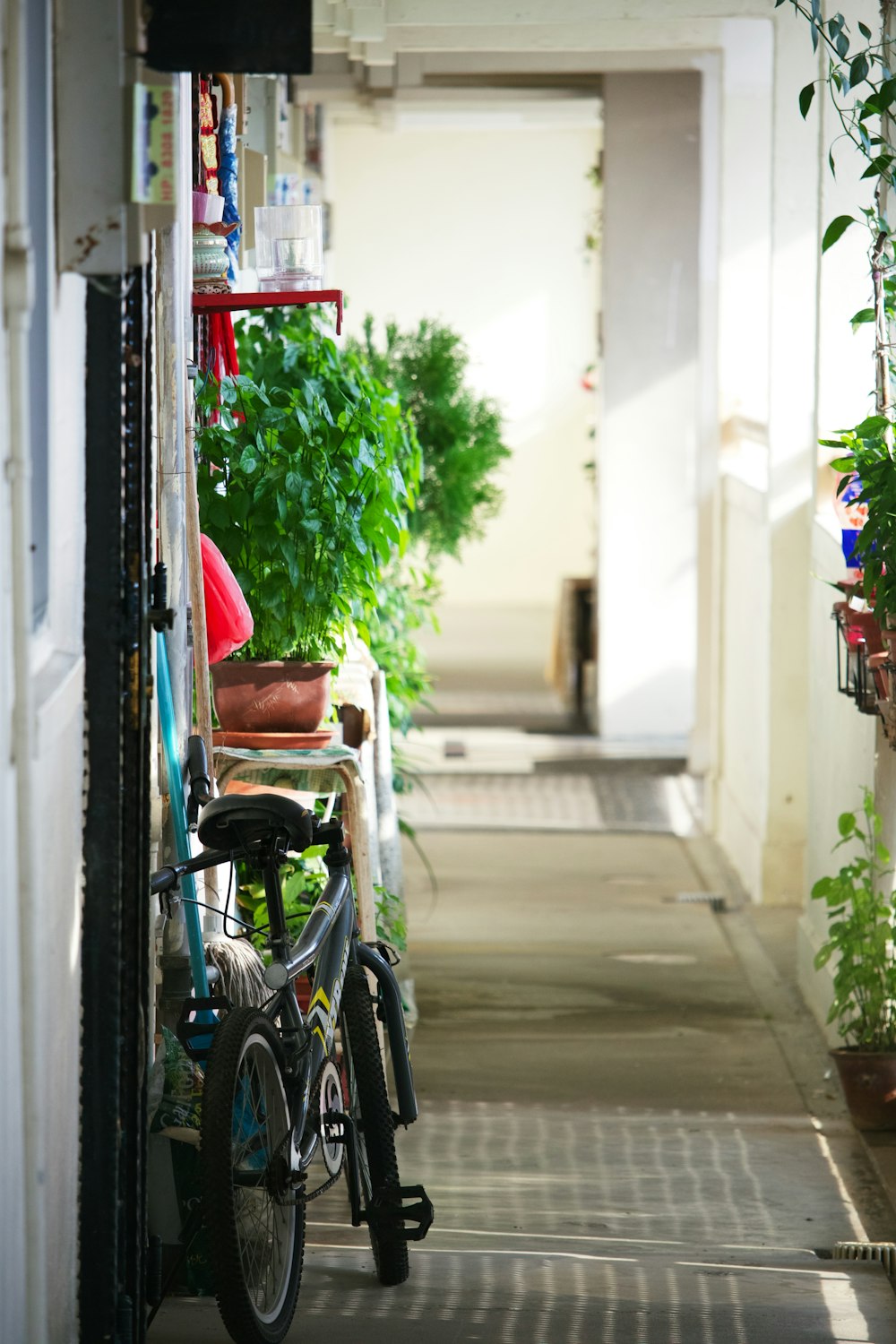 black bicycle parked beside green plant during daytime