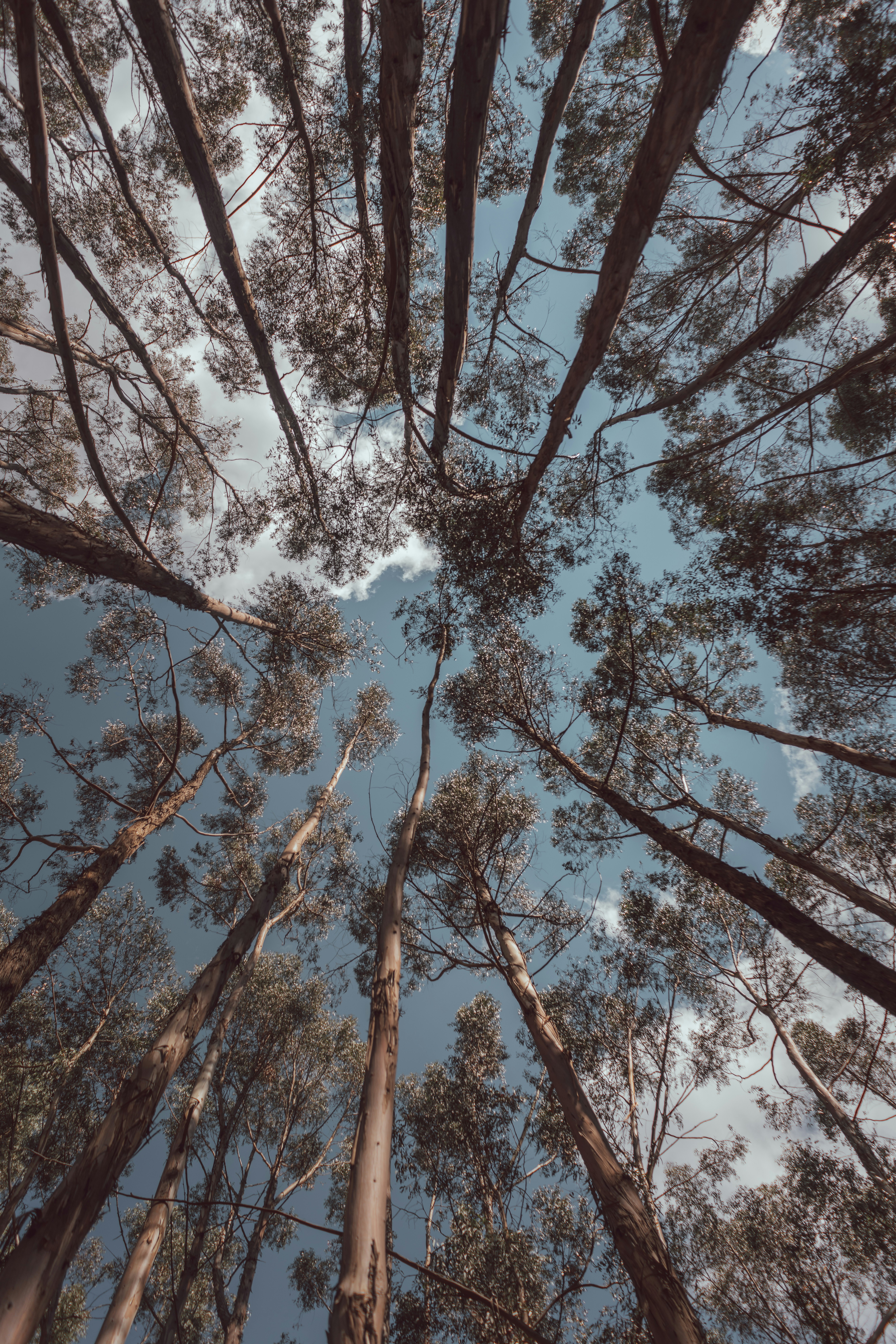 Photo by creatorsproduce