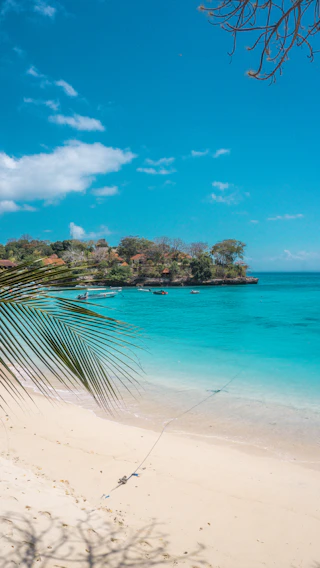 green palm tree near body of water during daytime