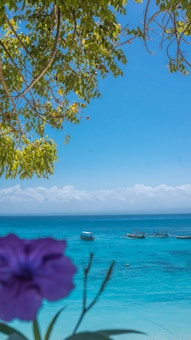 A vibrant tropical scene with a clear blue sky and turquoise ocean in the background. Boats are floating on the water, and a tree with lush green leaves frames the top of the image. A purple flower is in the foreground, adding a splash of color.