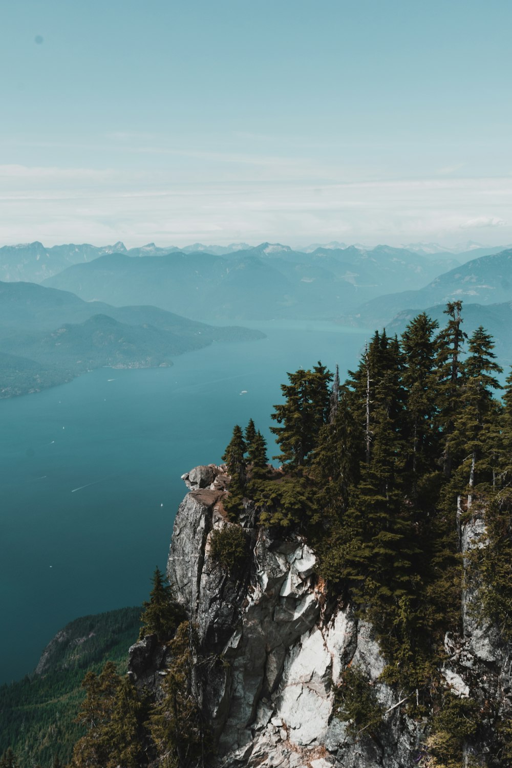 green trees on mountain near body of water during daytime