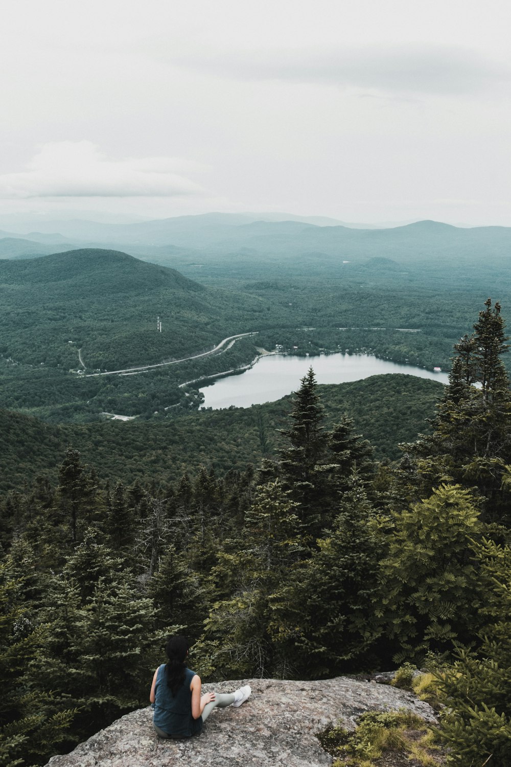 green trees on mountain during daytime