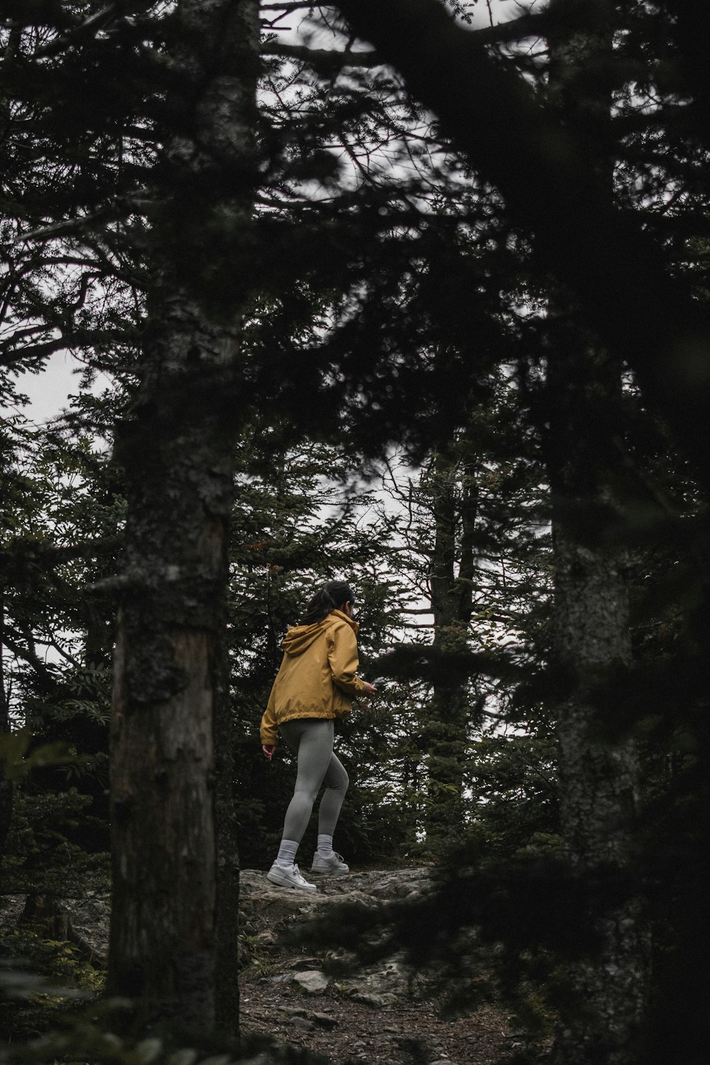 woman in brown jacket and gray pants standing on brown tree trunk during daytime