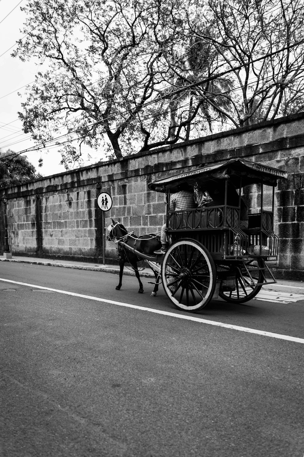 Foto in scala di grigi della carrozza a cavalli su strada