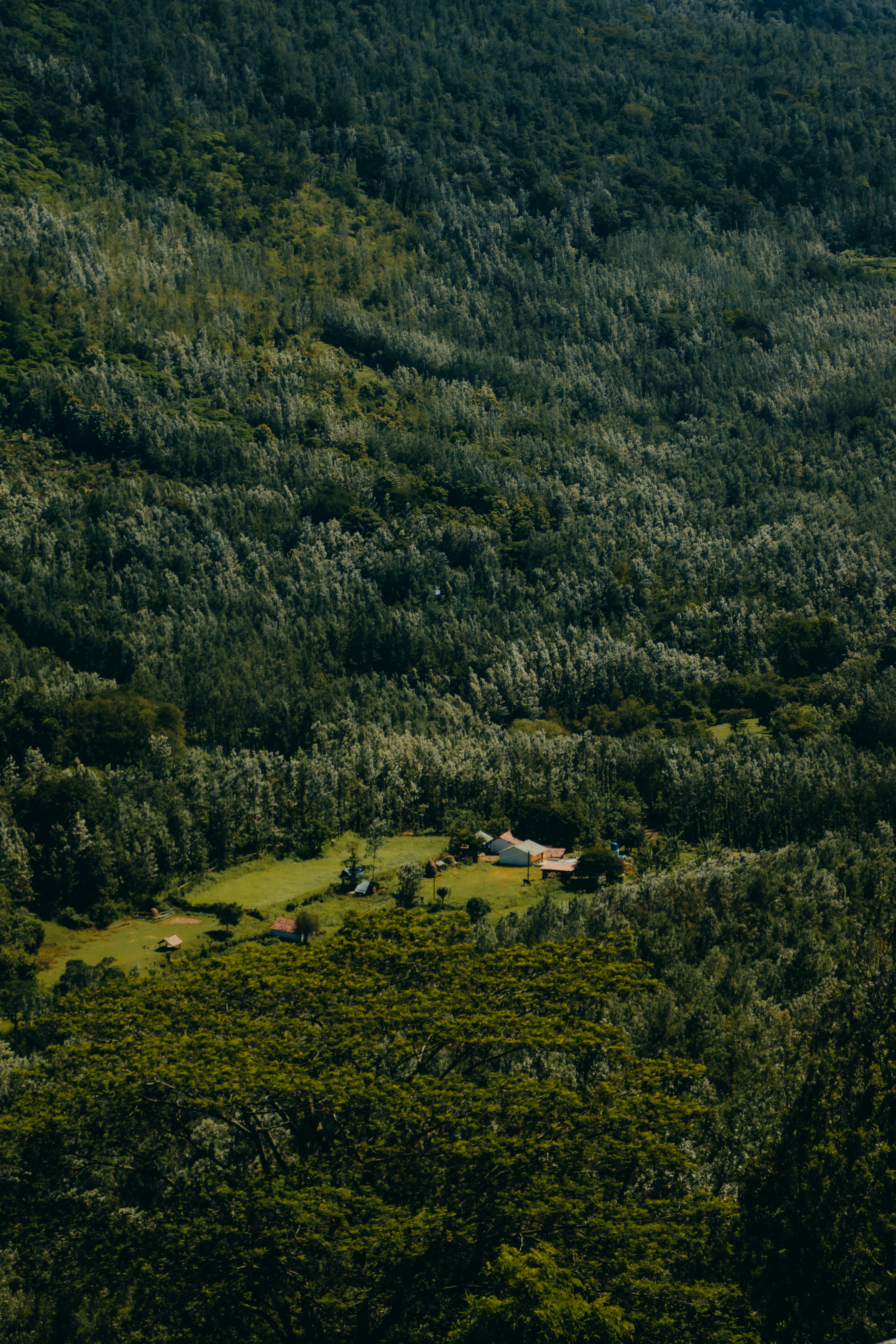 Photo by dhilipantony