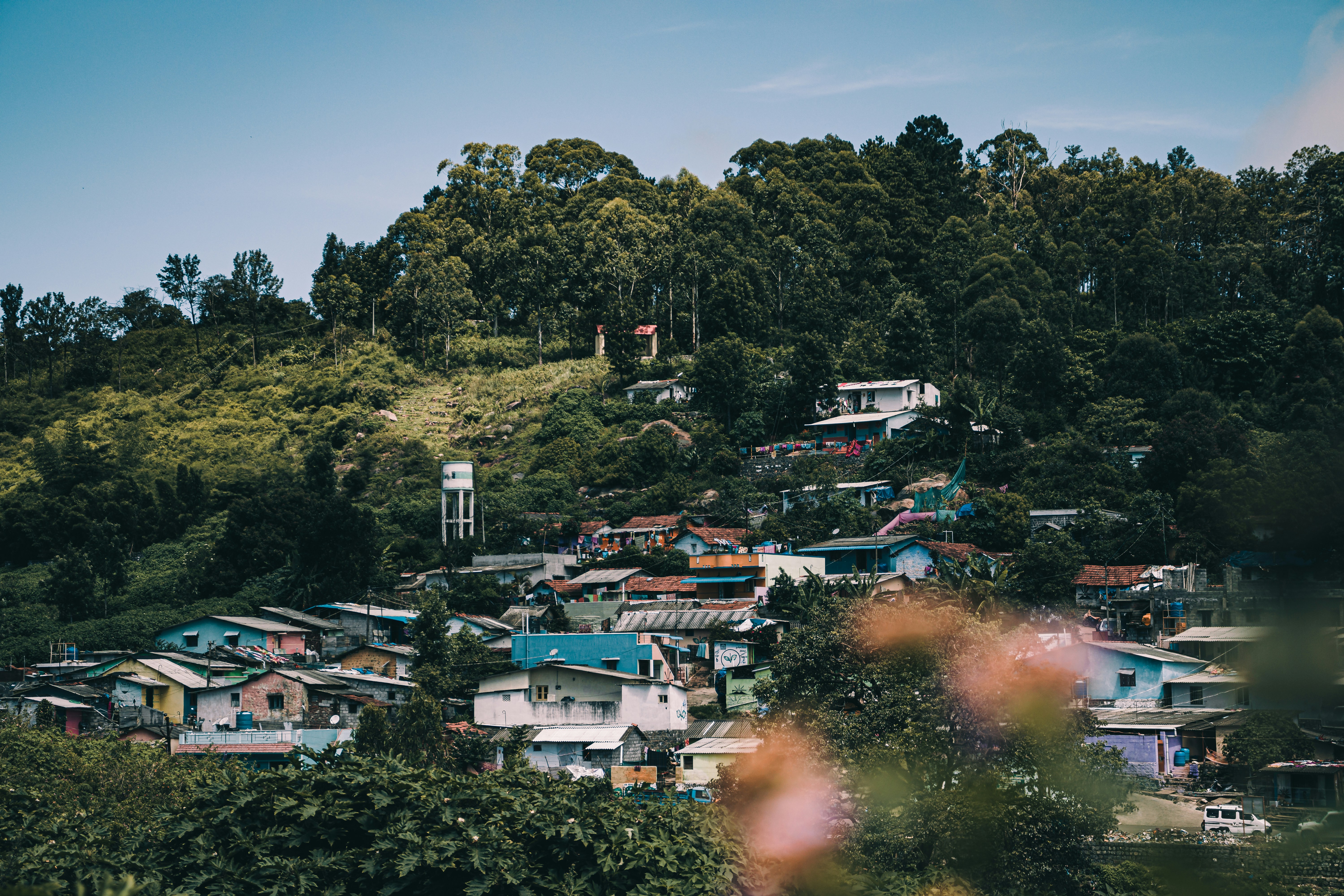 Photo by dhilipantony