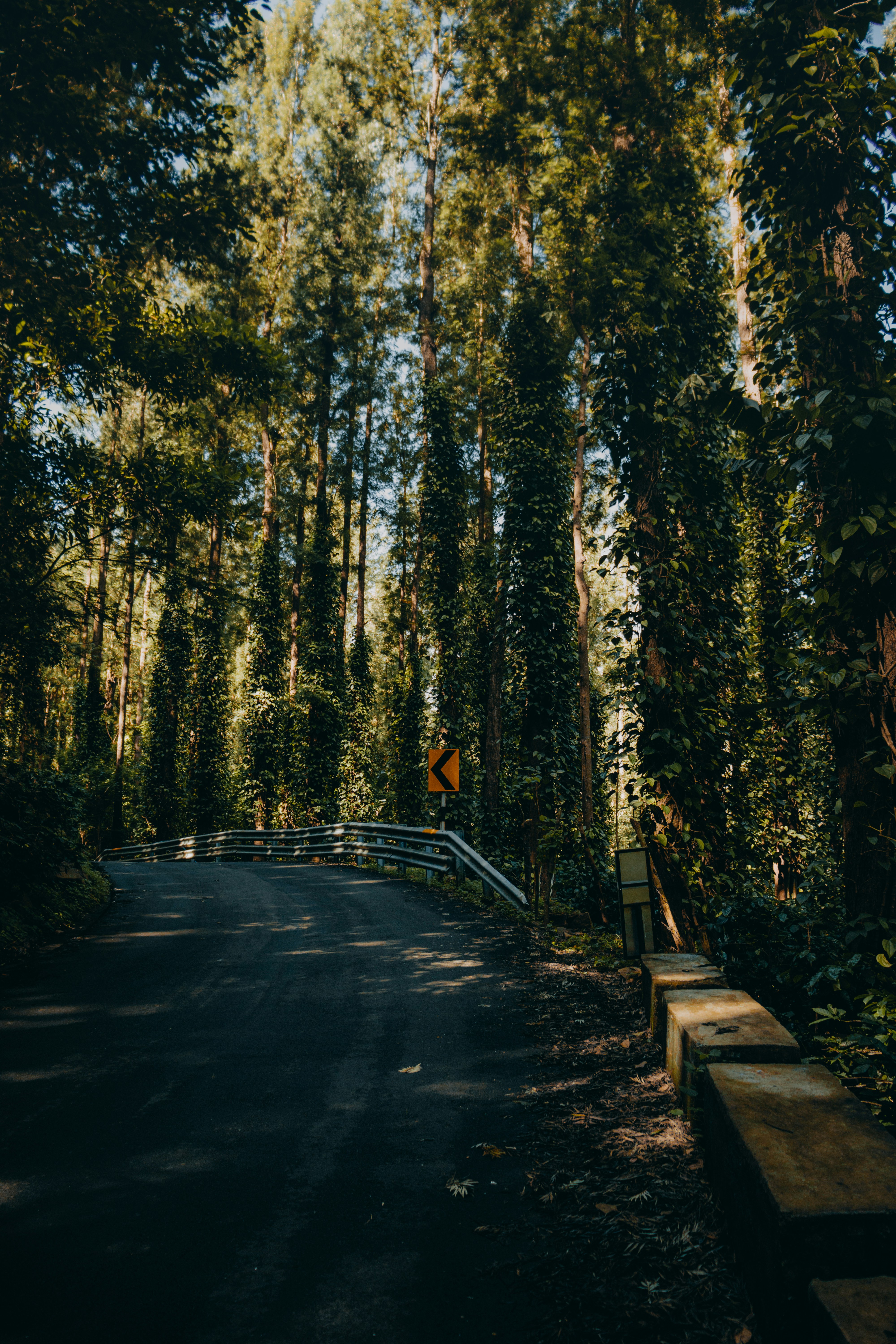 Photo by dhilipantony