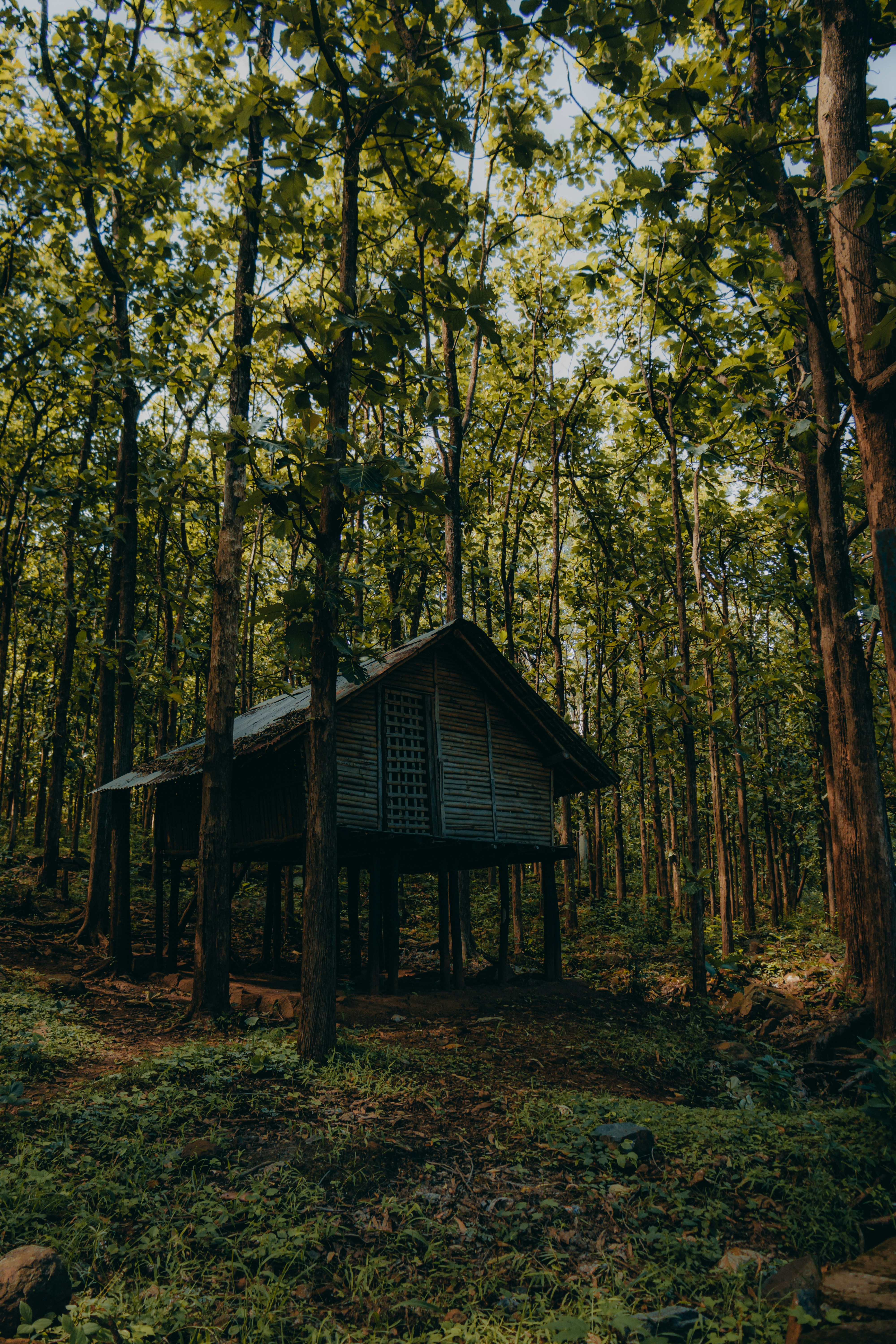 Photo by dhilipantony