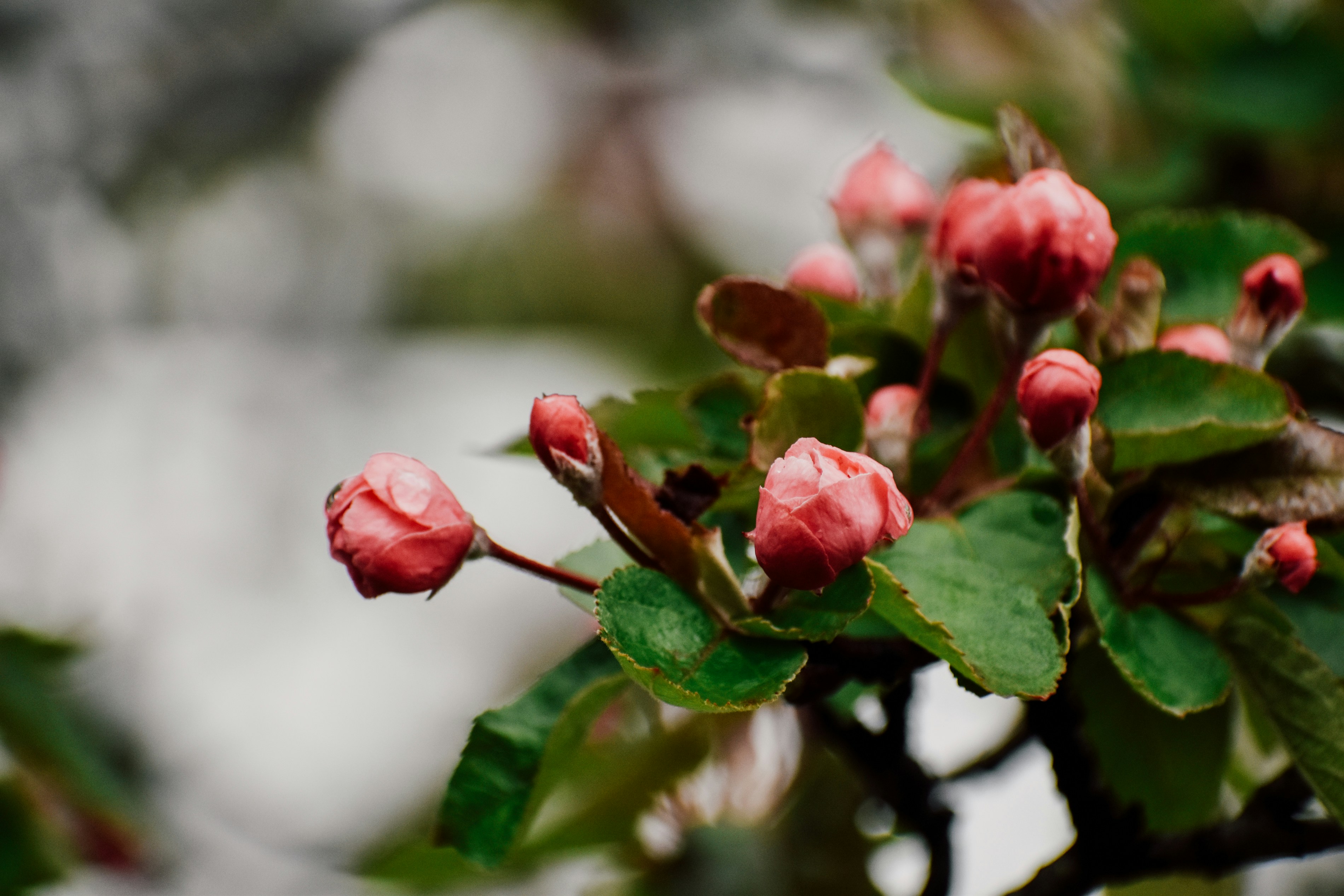 Photo by mmmkaydesign