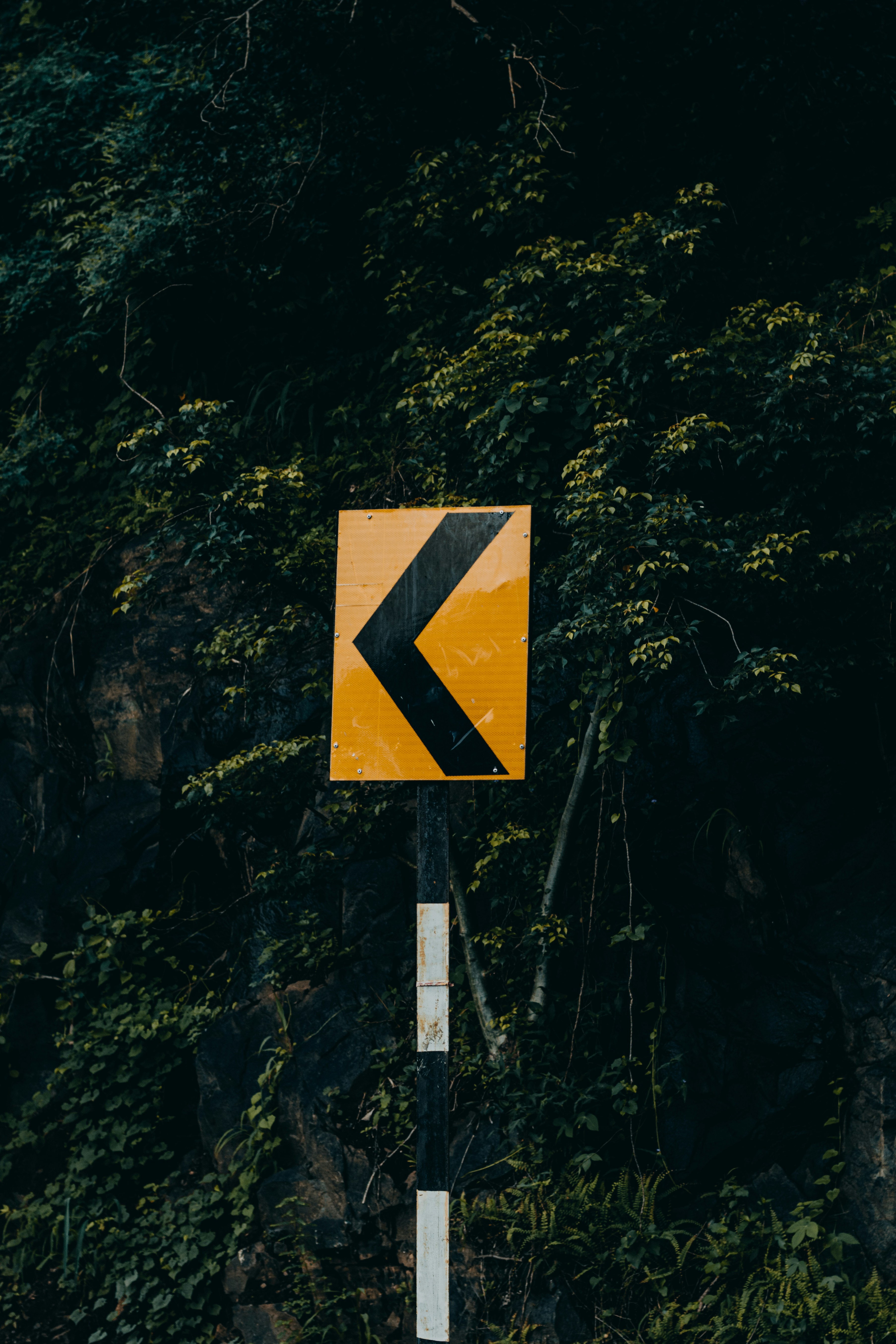 Photo by dhilipantony