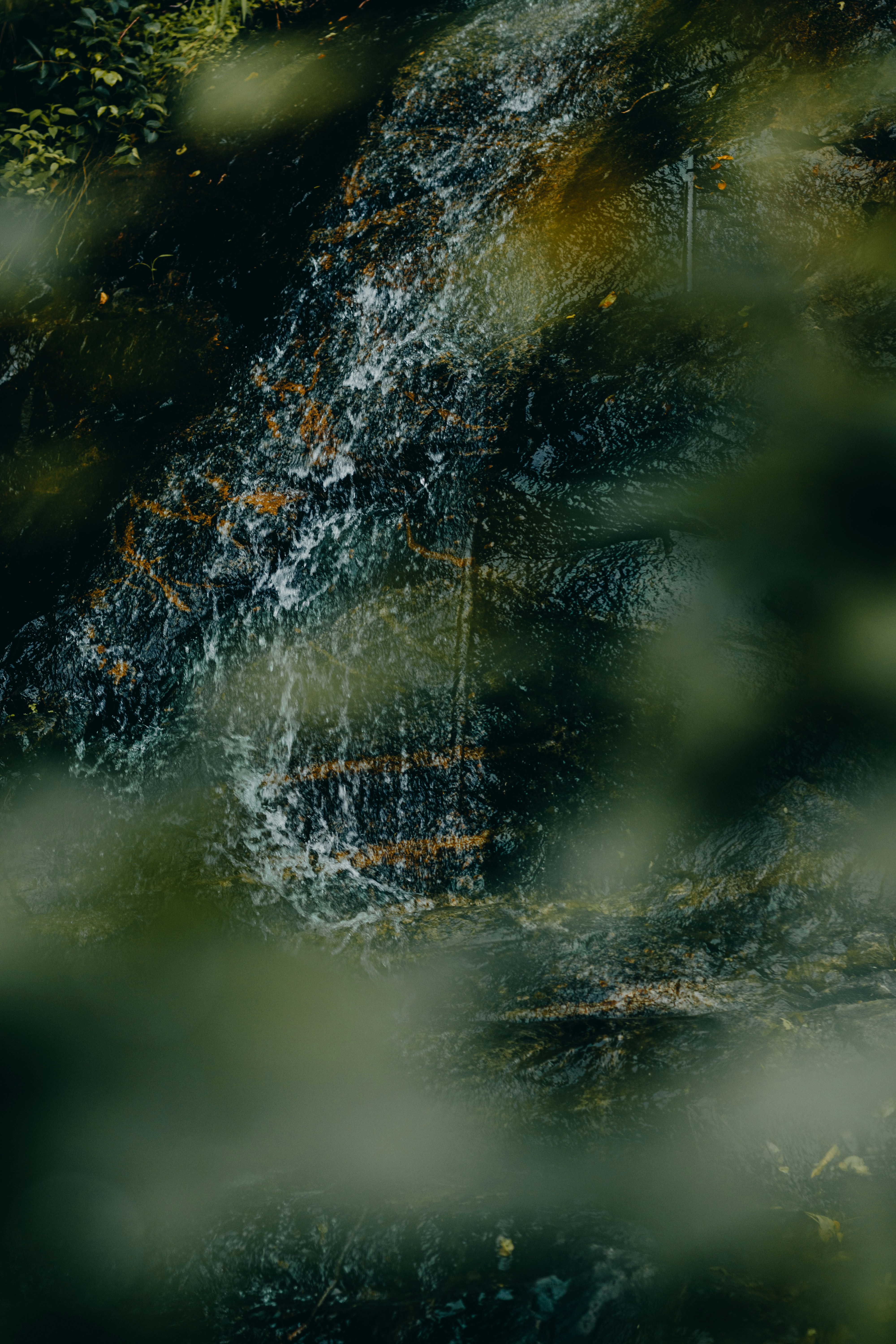 Photo by dhilipantony