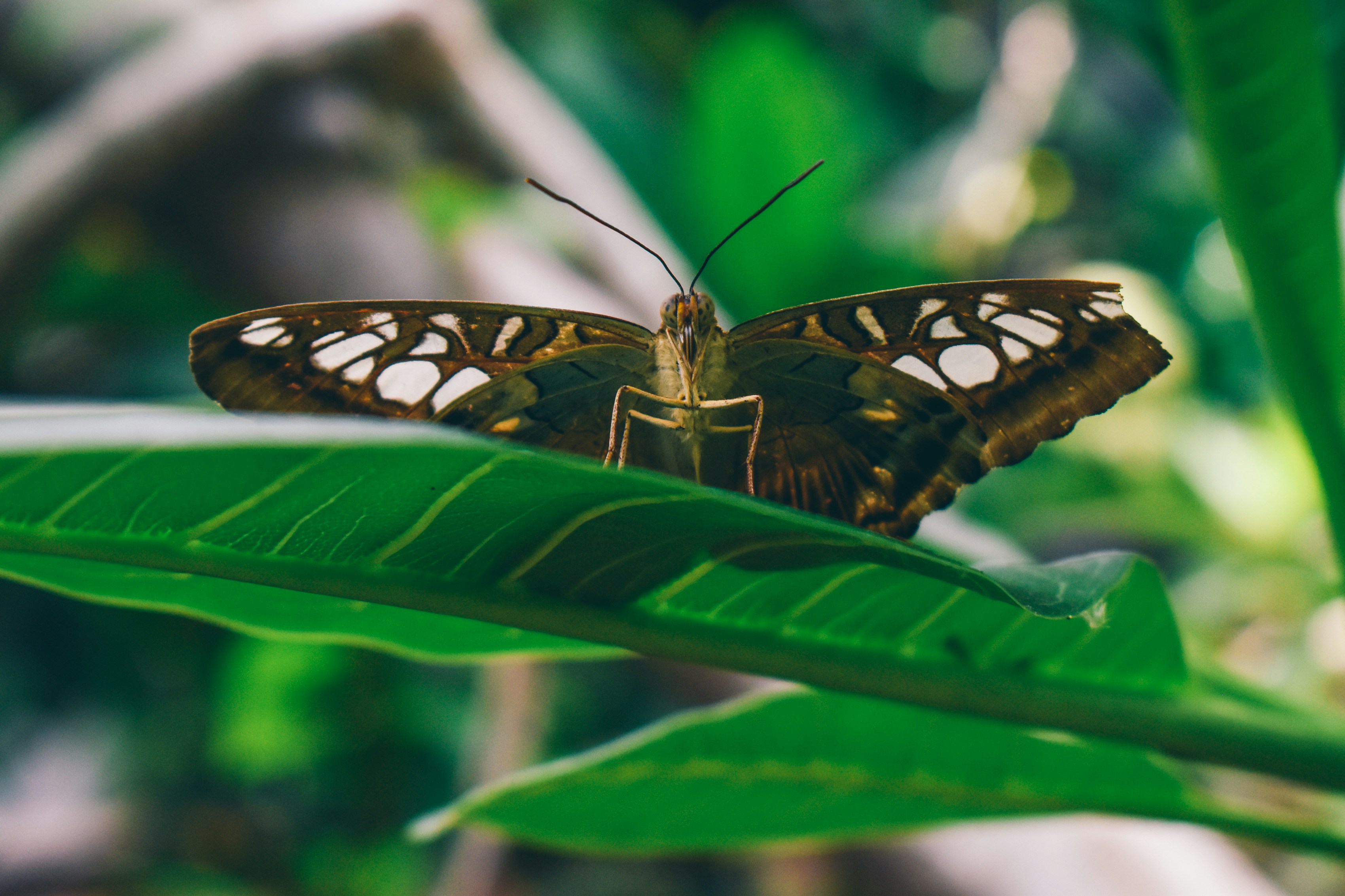 Photo by mmmkaydesign