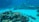 An underwater scene featuring various marine life including sharks and coral reefs. The sandy ocean floor is visible, along with a diverse array of coral formations and small fish swimming around. The water appears clear, allowing the vibrant colors of the corals and marine life to stand out against the blue backdrop.