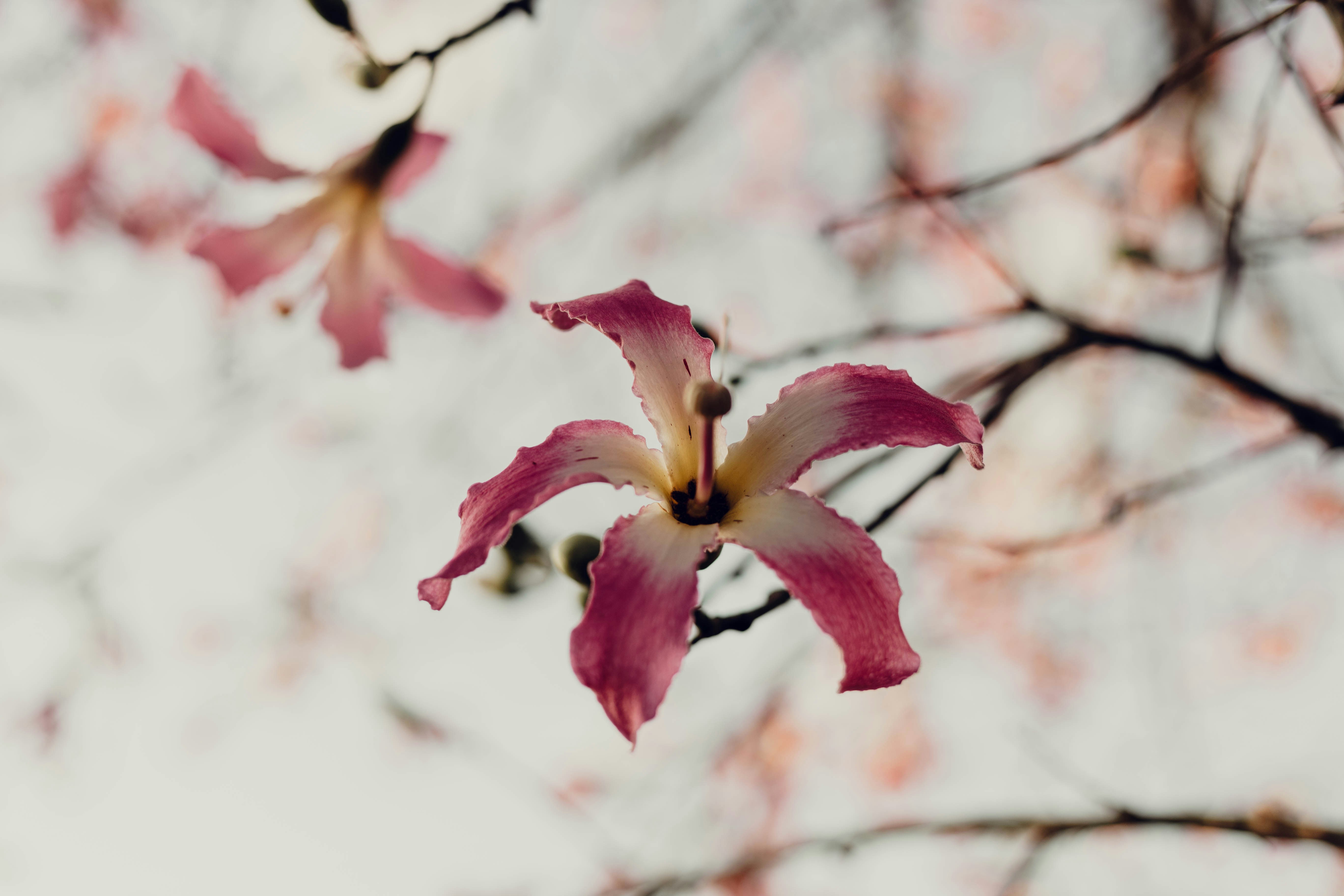 Photo by benignohoyuela