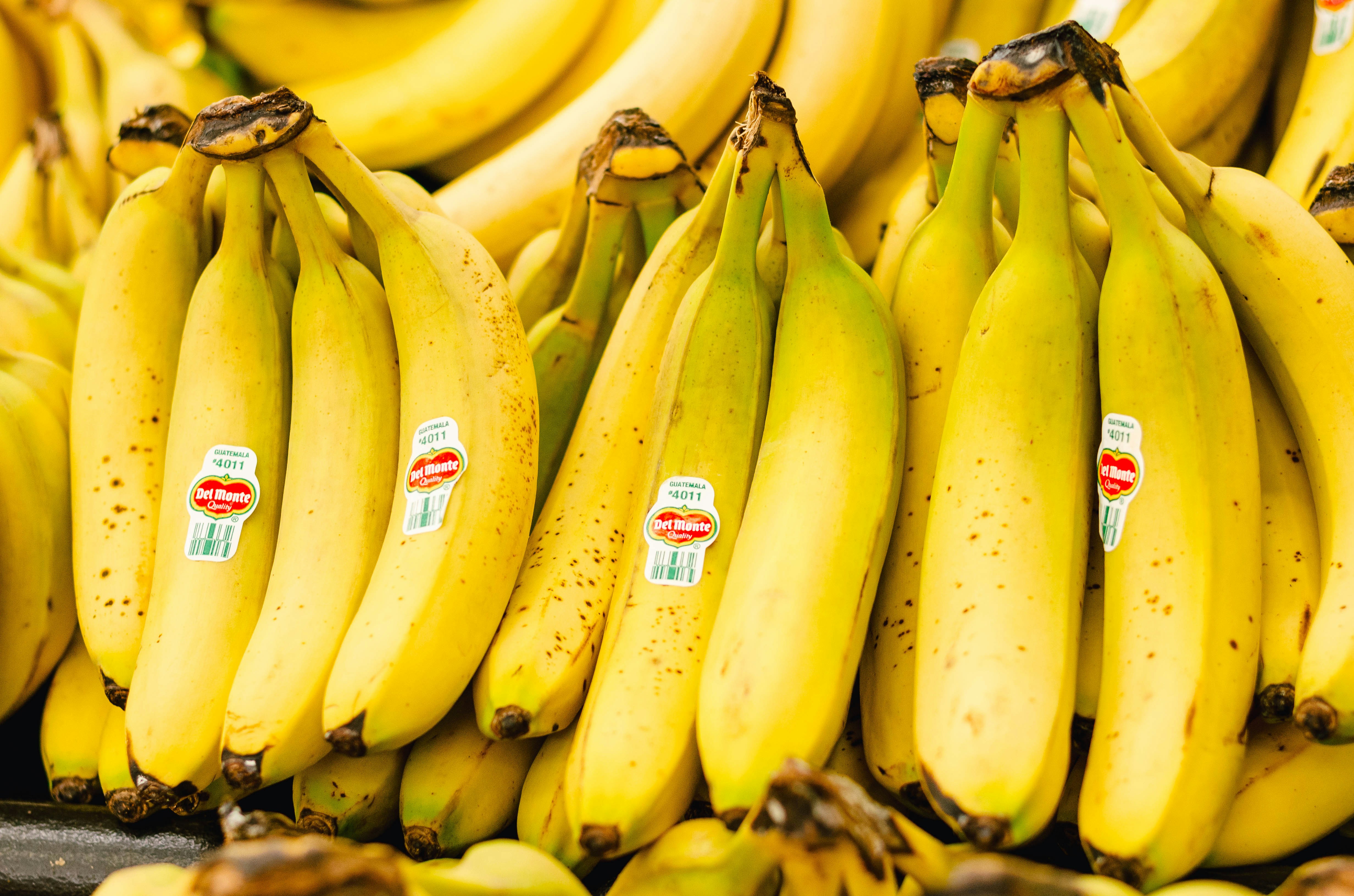 Photo by benignohoyuela