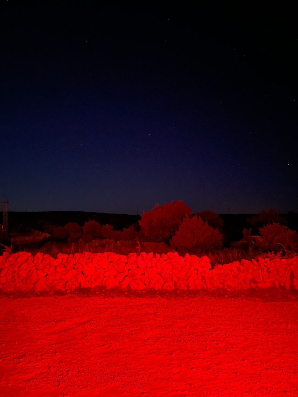 red trees under blue sky during night time