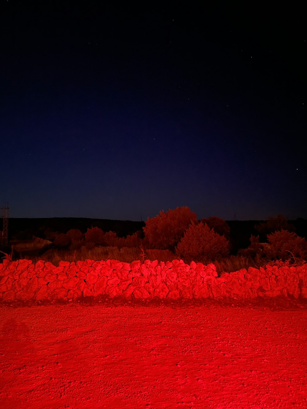 red trees under blue sky during night time