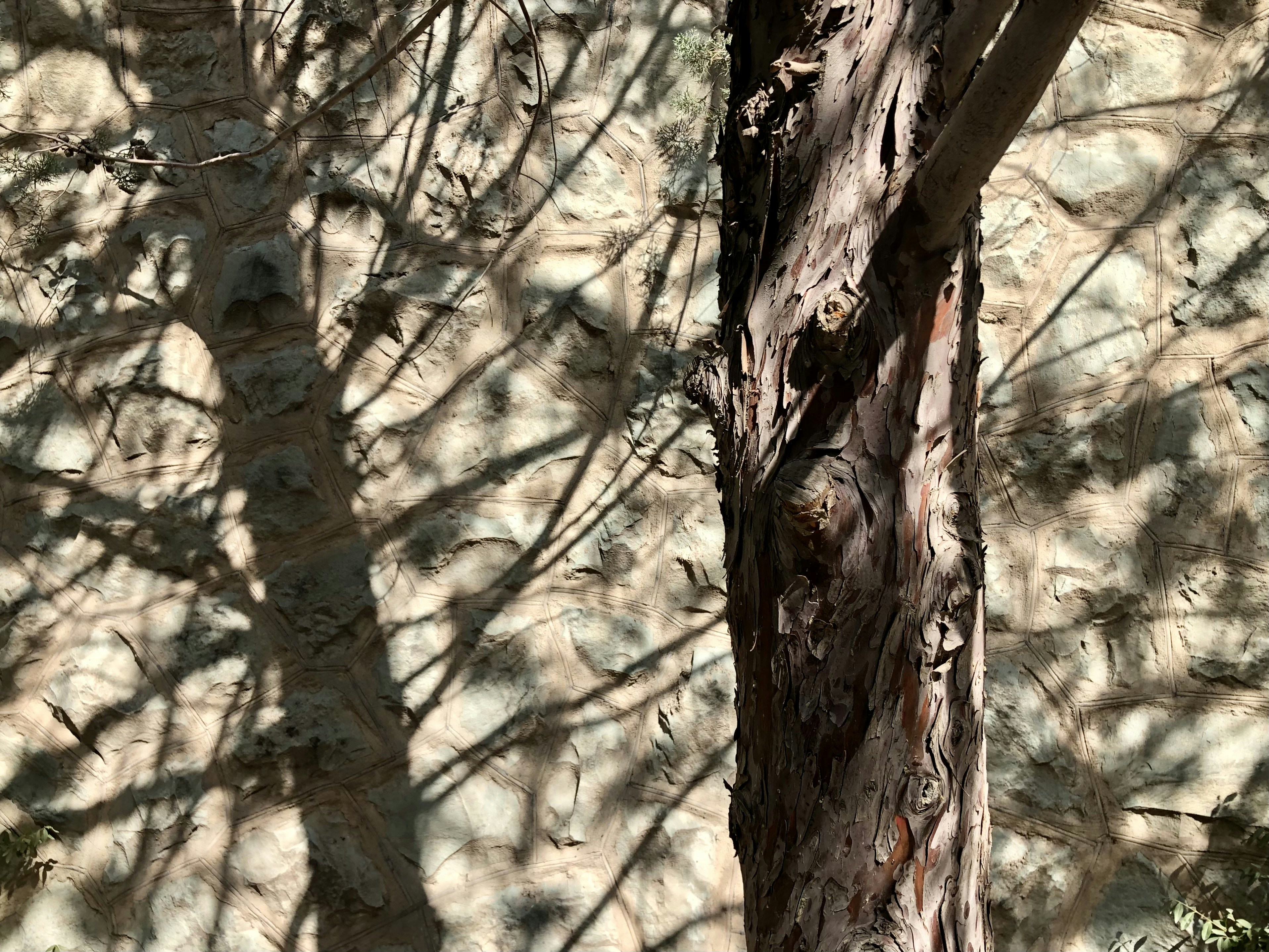 Photo by mojganshabani