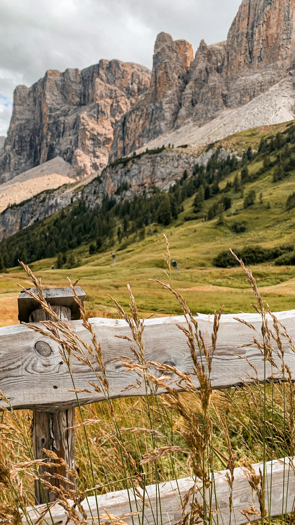 brown wooden house on green grass field near mountain during daytime