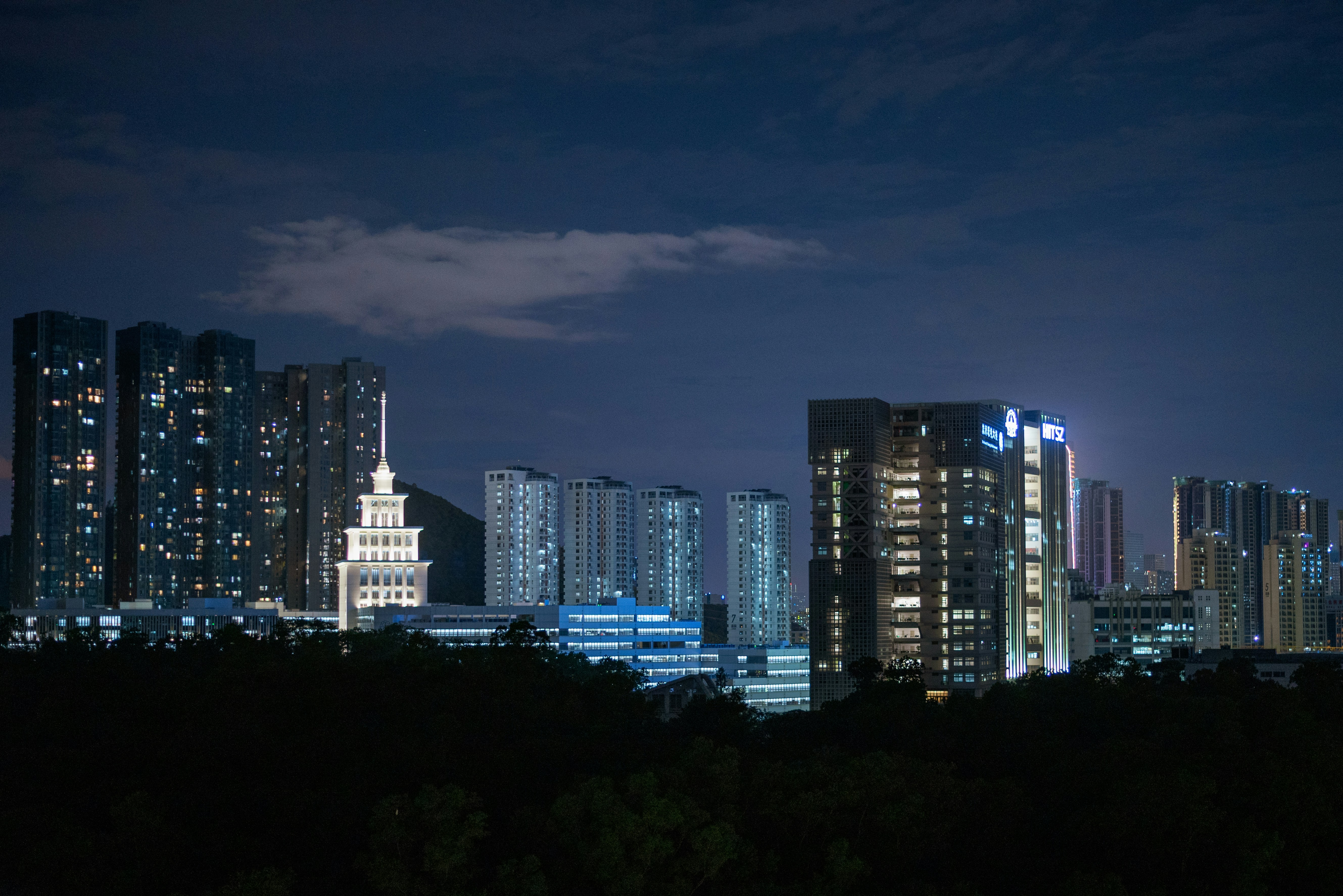 City skyline during night time