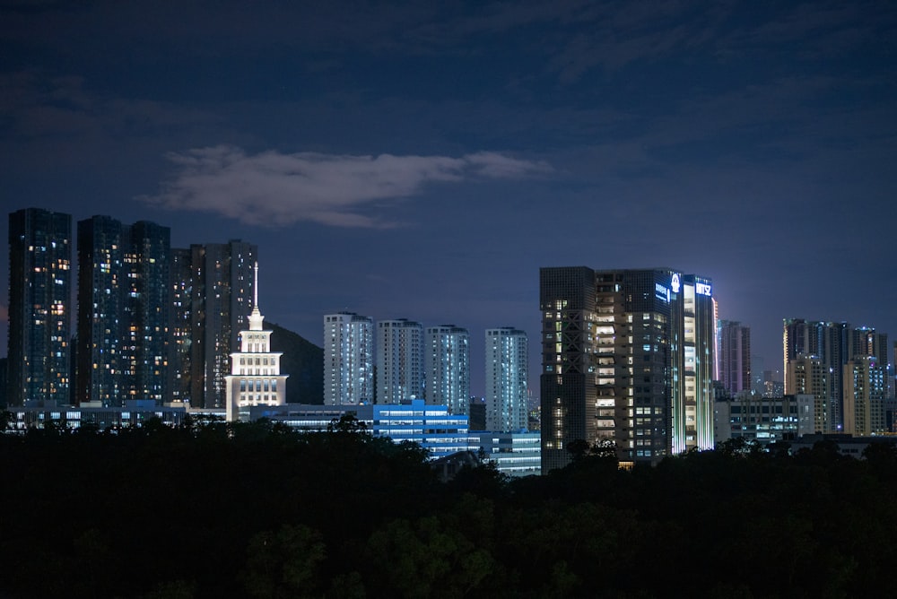 city skyline during night time