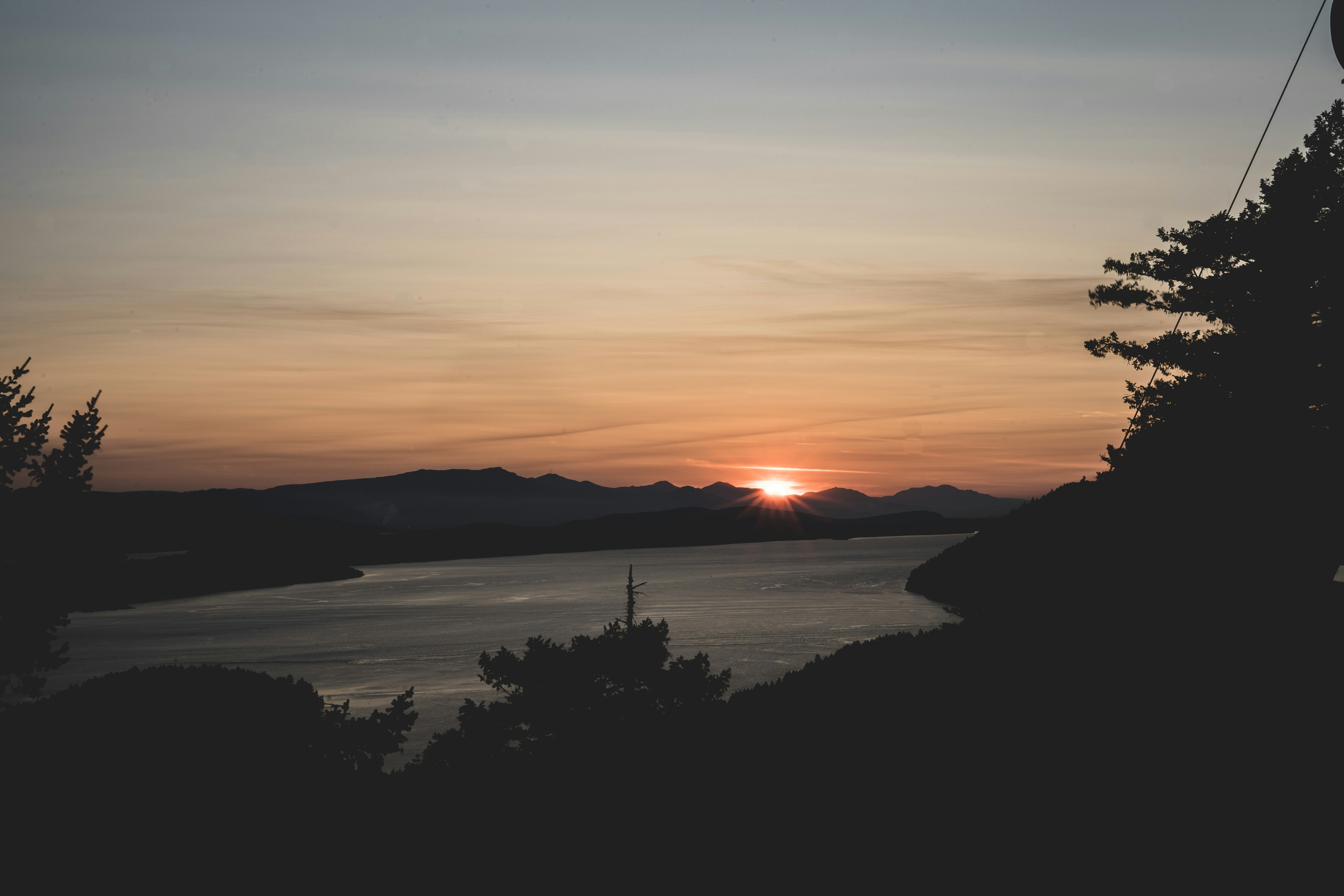 silhouette of trees near body of water during sunset