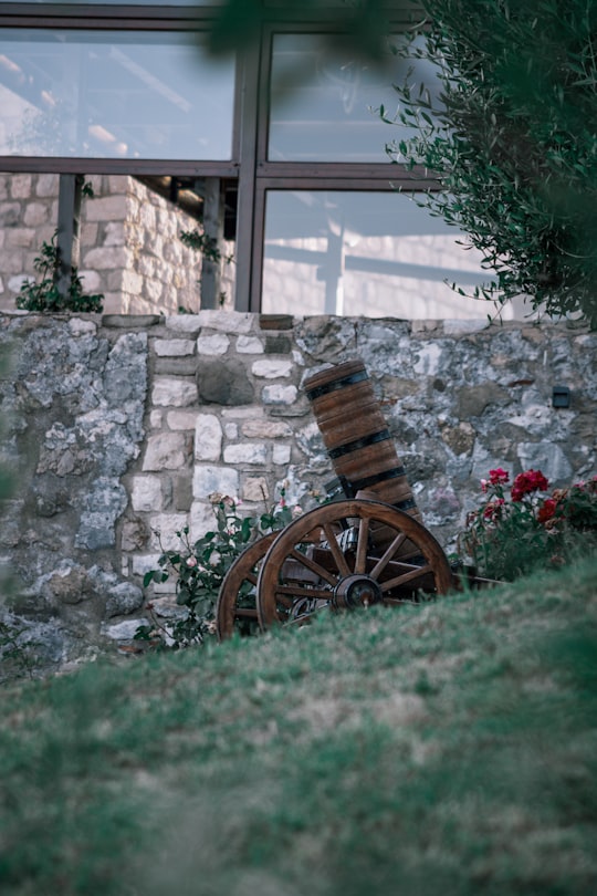 brown wooden wheel chair on green grass field in Ulcinj Montenegro