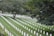 A serene cemetery with rows of white tombstones neatly arranged on lush green grass. Large trees provide a canopy, casting shadows and adding depth to the scene.