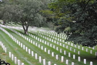 A serene cemetery with rows of white tombstones neatly arranged on lush green grass. Large trees provide a canopy, casting shadows and adding depth to the scene.