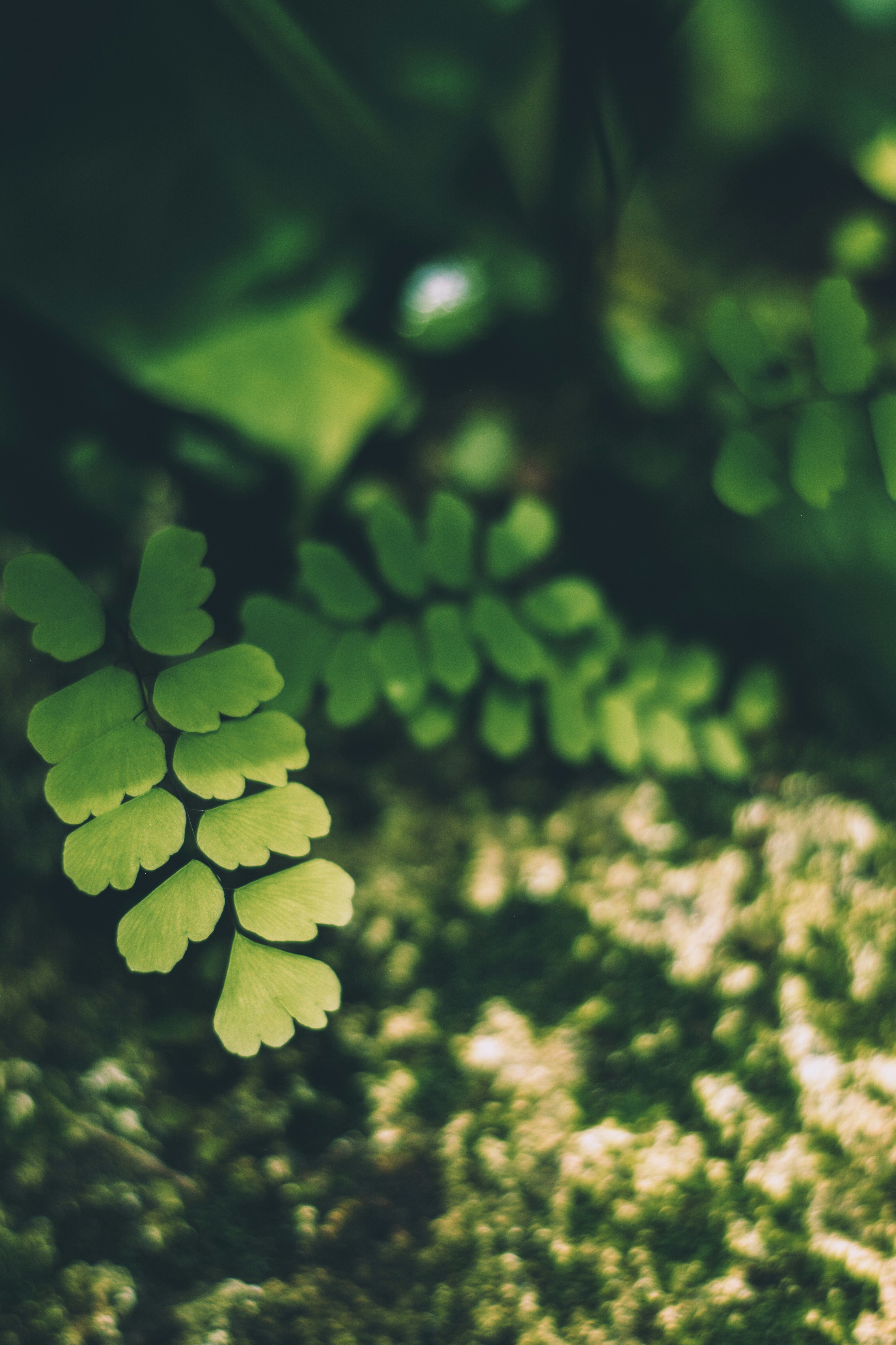 Photo by sanjanshetty