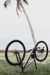 black bicycle on green grass field during daytime