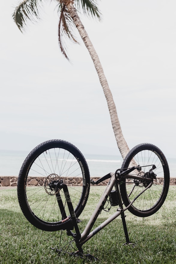 black bicycle on green grass field during daytime